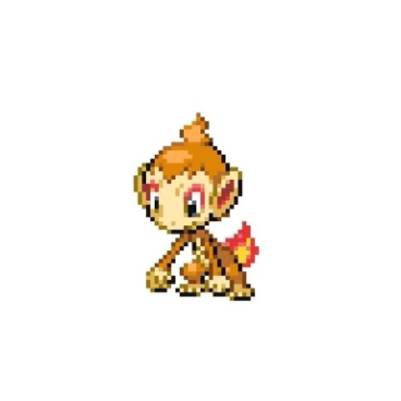 chimchar3